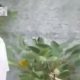 PDIP Semarang Tanggapi Dugaan Kader Kunjungi Pijat Plus-Plus: Aduan Istri Mulai Ditangani