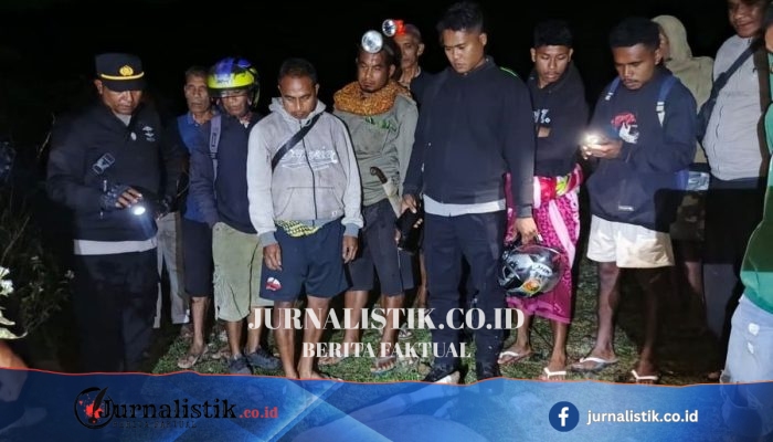 Wilhelmina Aek (71) di Malaka Diserang Tembakan Orang Tak Dikenal: Satu Sapi Tewas, Satu Luka