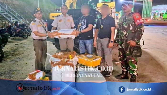 445 Lembar Kulit Ular Piton dan 32 Kura-kura Tanpa Dokumen Disita di Bakauheni