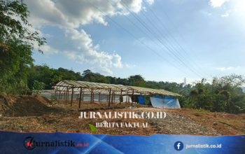 Warga Salatiga Protes Usaha Penjemuran Bulu Ayam di Semarang karena Bau Seperti Bangkai