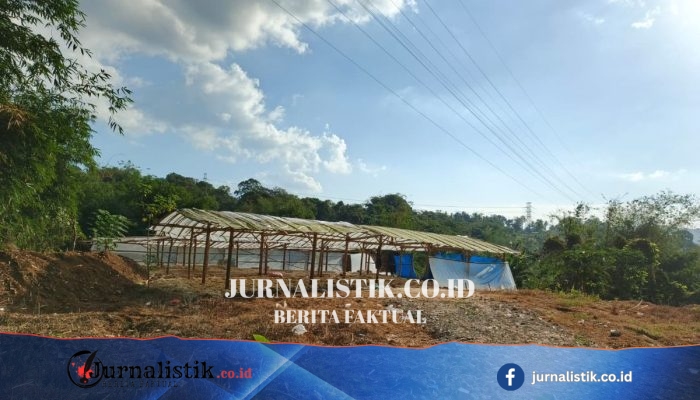 Warga Salatiga Protes Usaha Penjemuran Bulu Ayam di Semarang karena Bau Seperti Bangkai