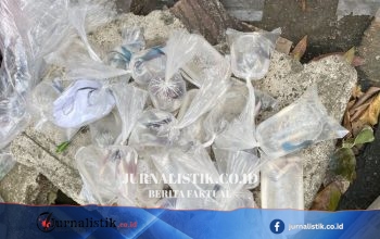 Ikan Cupang buat Anak: Belajar Tanggung Jawab, Bukan Gadget