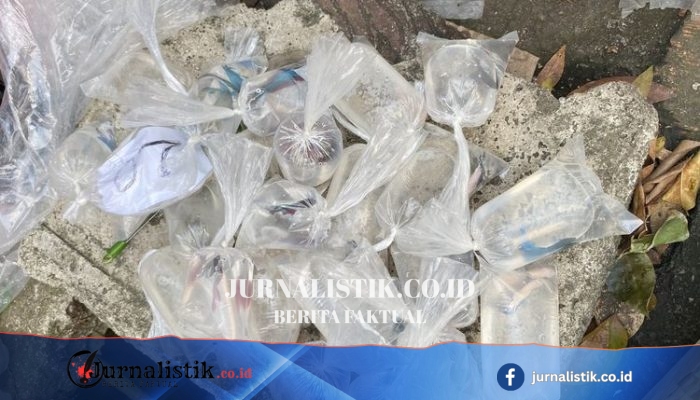 Ikan Cupang buat Anak: Belajar Tanggung Jawab, Bukan Gadget