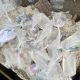 Ikan Cupang buat Anak: Belajar Tanggung Jawab, Bukan Gadget