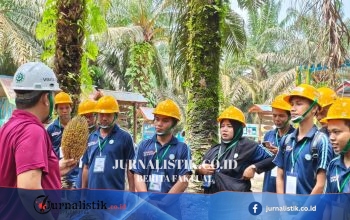 Produktivitas Kebun Rakyat Menjadi Tumpuan Penerapan Biodiesel B50