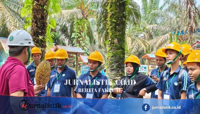 Produktivitas Kebun Rakyat Menjadi Tumpuan Penerapan Biodiesel B50