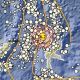 Gempa Magnitudo 6,2 Guncang Pulau Doi, Maluku Utara