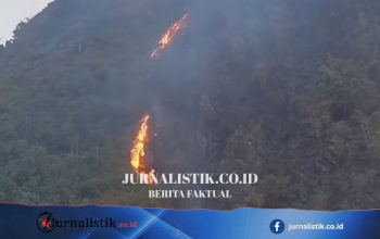 Kebakaran di Lereng Gunung Singa Bandung: Waspada Ancaman Karhutla saat Kemarau