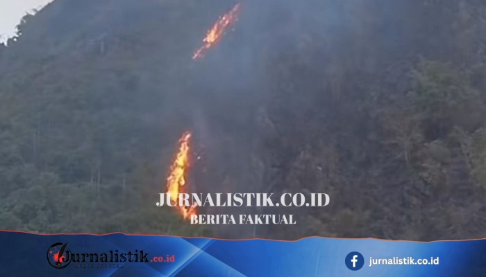 Kebakaran di Lereng Gunung Singa Bandung: Waspada Ancaman Karhutla saat Kemarau