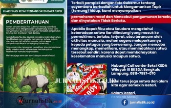 Mesuji Batalkan Hadiah Rp 50 Juta bagi Penyelamatan Tapirus indicus Hidup; BBKSDA Bengkulu-Lampung Cemas Memicu Perburuan