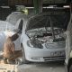 Tabrak Belakang, Benarkah Harus Ganti Panel Bodi Baru?