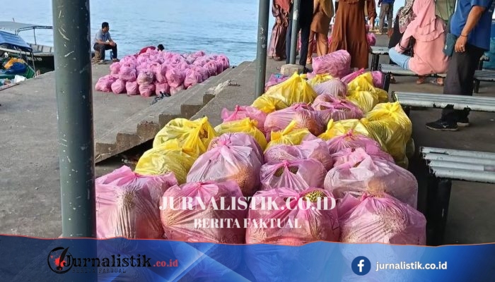 Panen Durian Sebatik Nunukan: Dibeli 2 Ringgit per Kilo, Dijual 10 Ringgit di Malaysia