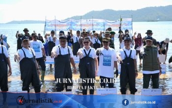 Kementerian LH dan Freeport Tanam 1,5 Juta Bibit Mangrove di Sumbawa, NTB