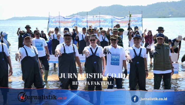 Kementerian LH dan Freeport Tanam 1,5 Juta Bibit Mangrove di Sumbawa, NTB