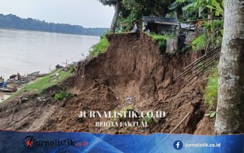 BPBD Batang Hari Data 4 Titik Longsor di Sungai Batanghari, Dapur Rumah Nyaris Menggantung