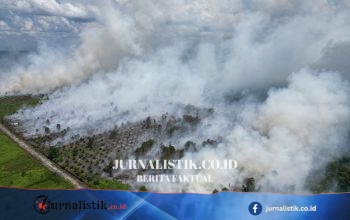 Kemarau Diprediksi Memuncak Agustus–September, Karhutla Berpotensi Semakin Mudah Menyebar
