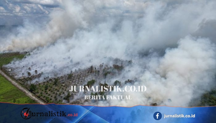 Kemarau Diprediksi Memuncak Agustus–September, Karhutla Berpotensi Semakin Mudah Menyebar