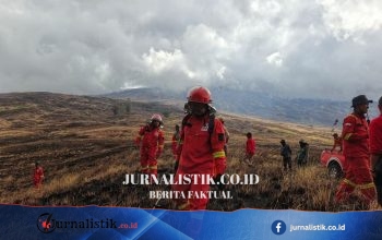 1.956 Hektar Savana TN Tambora Dilalap Api
