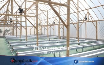 Di Indramayu, Petani Melon Budidaya Smart Green House Berbasis IoT untuk Sweetnet 9