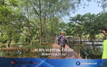Hutan Kota Rorotan di Jalan Malaka 1 Jadi Penawar Debu Kontainer untuk Warga Jakarta Utara