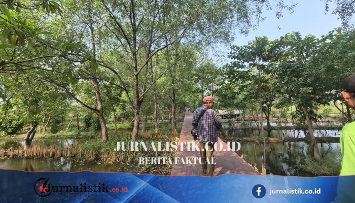 Hutan Kota Rorotan di Jalan Malaka 1 Jadi Penawar Debu Kontainer untuk Warga Jakarta Utara
