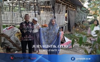 Protes Kandang Ayam di Ciputat: Bau Menyengat Ganggu Warga, Izin Dipersoalkan