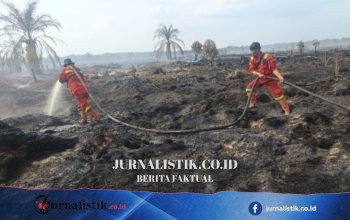 Kebakaran hutan di Rokan Hilir, Riau: pemadaman darat dan udara