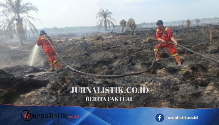 Kebakaran hutan di Rokan Hilir, Riau: pemadaman darat dan udara