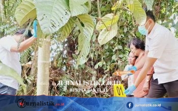 Alex Cristo Loris, Residen PPDS Anestesi RSUD Siak: Hilang Sejak 13 Juli, CCTV Catat Keluar Pukul 18.06 WIB