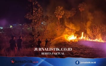 Kebakaran Sabana Labuan Bajo Makin Meluas, Tim Utamakan Pemadaman di Area Hotel dan Jalan