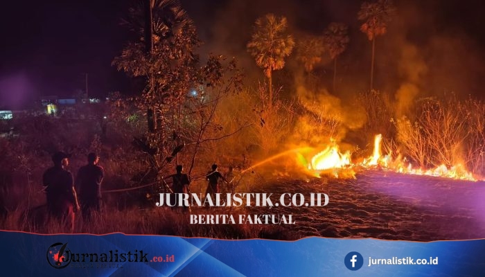 Kebakaran Sabana Labuan Bajo Makin Meluas, Tim Utamakan Pemadaman di Area Hotel dan Jalan
