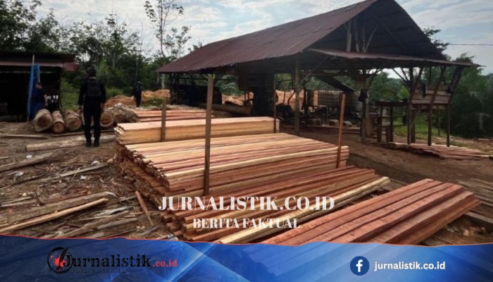 Pengolahan Kayu Hasil Illegal Logging di Kampar Riau Digerebek, Mandor Ditetapkan Tersangka