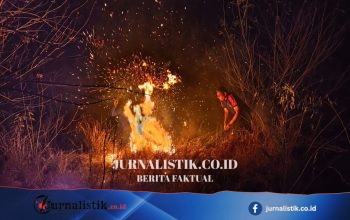 Penjelasan BMKG soal Cepatnya Penyebaran Api pada Sabana di Labuan Bajo