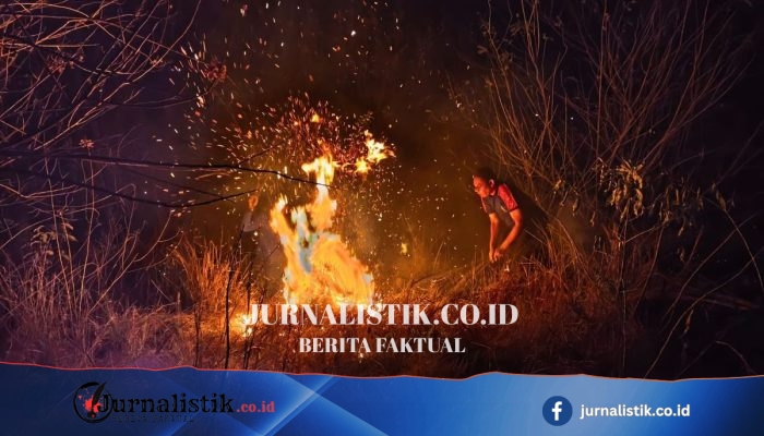 Penjelasan BMKG soal Cepatnya Penyebaran Api pada Sabana di Labuan Bajo