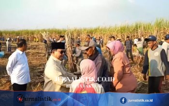 Prabowo Menyapa Petani Tebu dalam Panen Raya Bersama TNI di Malang