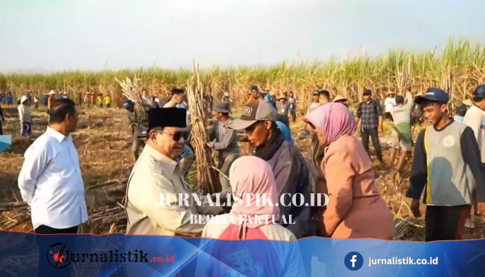 Prabowo Menyapa Petani Tebu dalam Panen Raya Bersama TNI di Malang