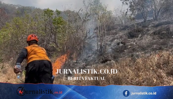 Kebakaran Hutan Lindung di Bali Utara Meluas, Pemadaman Terkendala Medan Terjal