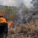 Kebakaran Hutan Lindung di Bali Utara Meluas, Pemadaman Terkendala Medan Terjal