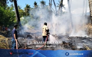 BNPB: Karhutla Buleleng Hanguskan 48 Hektare, Terbesar dalam 6 Kejadian
