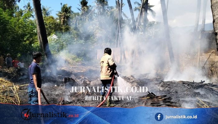 BNPB: Karhutla Buleleng Hanguskan 48 Hektare, Terbesar dalam 6 Kejadian