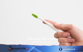 Panduan Ganti Sikat Gigi: Patokan 3–4 Bulan Menurut Dokter