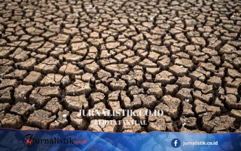 Kemarau Puncak, 23 Desa di Kabupaten Bekasi Mengalami Kekeringan
