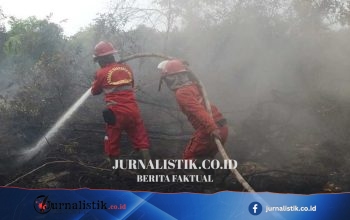 Johan Rosihan Dorong Perubahan UU Kehutanan Perkuat Mitigasi Karhutla