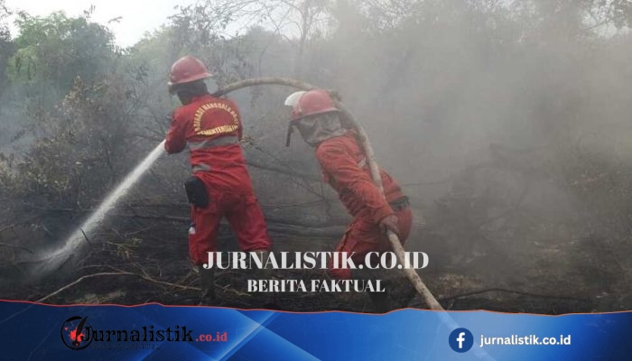 Johan Rosihan Dorong Perubahan UU Kehutanan Perkuat Mitigasi Karhutla