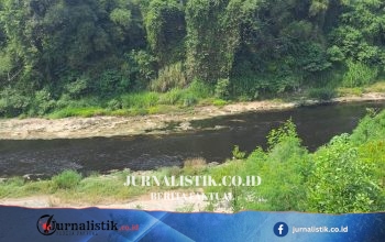 DLH Kota Bekasi dan KP2C Menelusuri Dugaan Pencemaran Kali Bekasi Berair Hitam, Mengarah ke Hulu