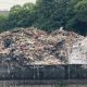 Pramono Siap Tindak Pembuang Sampah Ilegal di RTH Penjaringan, Jakut