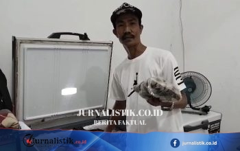 Zahroni UMKM Seafood Muara Angke Raup Hingga 300 Kg Kerang per Hari ke Pulau Jawa lewat Digitalisasi Marketplace