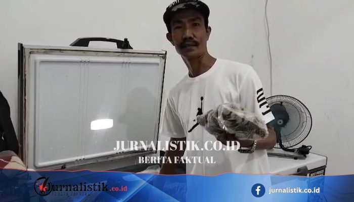 Zahroni UMKM Seafood Muara Angke Raup Hingga 300 Kg Kerang per Hari ke Pulau Jawa lewat Digitalisasi Marketplace