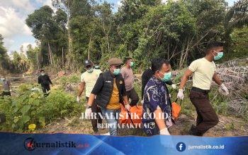 Putus Cinta Berujung Pembunuhan: Pria di Ketapang Tewaskan Mantan Kekasih, Jasad Dikubur di Kebun Sawit