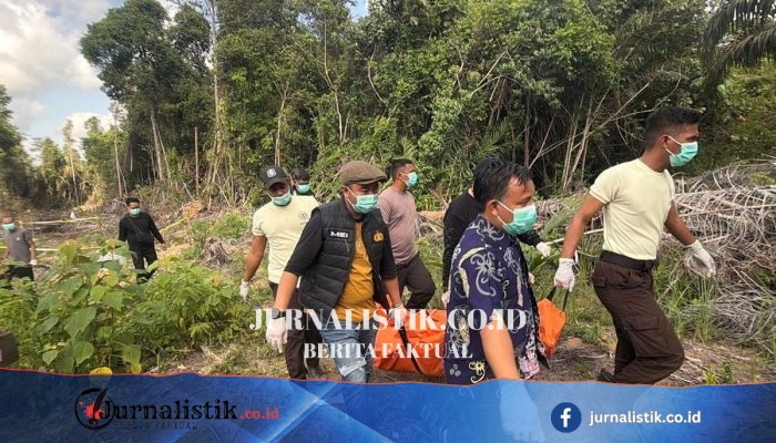 Putus Cinta Berujung Pembunuhan: Pria di Ketapang Tewaskan Mantan Kekasih, Jasad Dikubur di Kebun Sawit